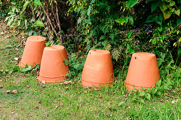 포토 JPG 해외이미지 식물 라이프스타일 디자인 꽃 화분 화초 백그라운드 단풍 잎 농업 사람없음 야외 장식 빨간색 초록색 여름 정원 꽃병 성장 벚꽃 농촌 도자기 그룹 캔 농부 원예 식물원 조경 일렬 채소밭 해외포토 직업 계절 산업 컬러 밭 취미 생활 시골 파일형식 이미지허브