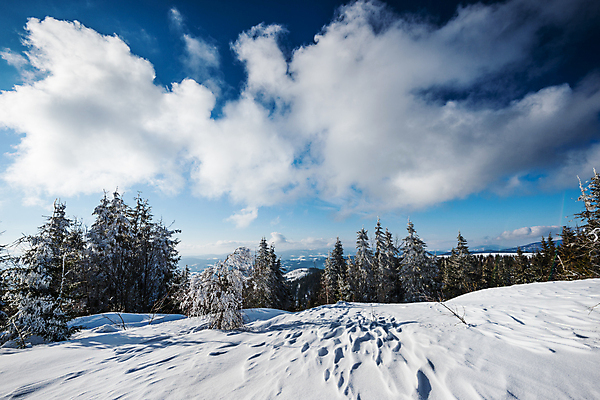 포토 JPG 해외이미지 나무 구름 유럽 여행 겨울 자연 하늘 휴가 스키 산 풍경 경사 사람없음 야외 파란색 태양 환경 계곡 맑음 냉동 얼음 하이킹 추위 성장 흰색 시골 소나무 숲 언덕 서리 북쪽 산악지대 절정 폭설 눈내림 가문비나무 해외포토 자연요소 식물 계절 나라 컬러 레저 날씨 겨울스포츠 눈_날씨 자연재해 방향 생태계 파일형식 이미지허브