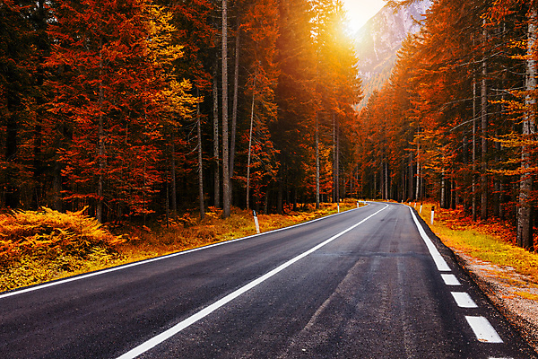 포토 JPG 해외이미지 나무 도로 여행 백그라운드 잎 곡선 교통시설 자연 산 파노라마 풍경 사람없음 야외 이탈리아 가을 고속도로 숲 아스팔트 알프스 굴곡 길가 해외포토 식물 계절 유럽 길 선 교통 촬영기법 시설 생태계 파일형식 이미지허브