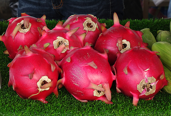 포토 JPG 해외이미지 음식 농업 과일 건강 사람없음 초록색 보라색 활발 신선 시장 유기농 내추럴 숙성 해외포토 웰빙 산업 컬러 컨셉 파일형식 이미지허브