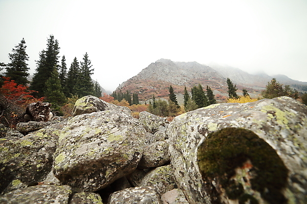 포토 JPG 해외이미지 나무 구름 공원 여행 백그라운드 자연 하늘 휴가 산 파노라마 풍경 사람없음 야외 초록색 물 여름 파란색 강 뷰티 일출 환경 계곡 일몰 놀람 봄 트래킹 하이킹 안개 가을 바위 시골 신선 정상 숲 언덕 지역 절정 해외포토 자연요소 식물 계절 공공시설 감정 컬러 레저 날씨 촬영기법 표정 노을 돌_바위 생태계 파일형식 이미지허브