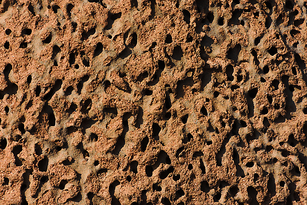 포토 JPG 해외이미지 모래 곤충 백그라운드 패턴 자연 표면 날씨 추상 프레임 건조 사람없음 가로 농장 갈색 환경 사진촬영 흙 네트워크 구멍 거친 터널 둥지 낟알 언덕 질감 먼지 진흙 시스템 개미 벌집 내추럴 남아프리카 복잡 식민지 울퉁불퉁 해외포토 동물 길 컬러 컨셉 무늬 농업 아프리카 촬영 생태계 파일형식 이미지허브