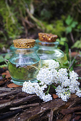 포토 JPG 해외이미지 꽃 백그라운드 잎 자연 유리 탁자 휴식 건강 사람없음 치료 가로 뷰티 스파 벚꽃 흰색 나뭇가지 신선 마사지 투명 닫기 약초 약국 허브 유기농 향기 아로마 향 아로마테라피 테라피 내추럴 돌봄 에센스 자연요법 추출 치료제 해외포토 나무 식물 웰빙 컬러 가구 컨셉 의학 모션 재질 약 화장품 풀_식물 생태계 냄새 파일형식 이미지허브