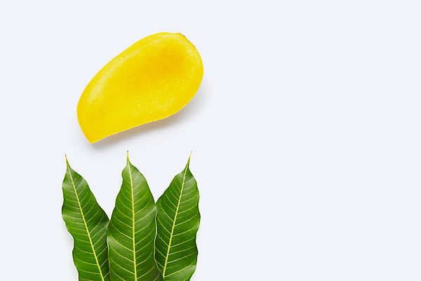 포토 JPG 해외이미지 잎 단면 실내 사람없음 한개 열대과일 흰배경 망고 해외포토 식물 1 백그라운드 과일 내부 흰색 파일형식 이미지허브