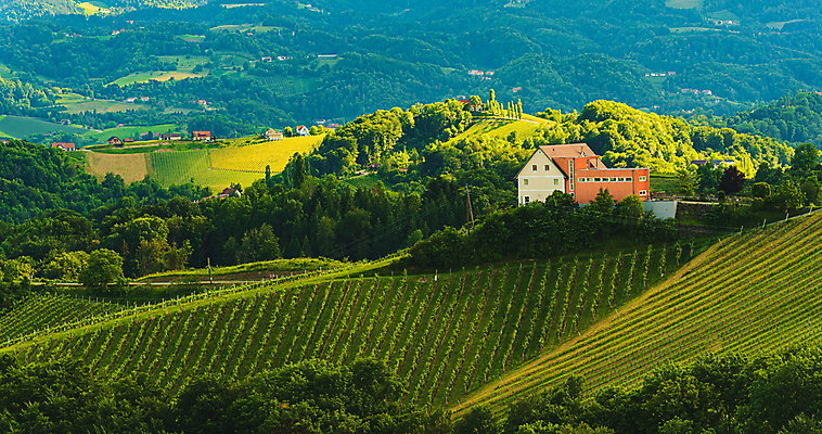 포토 JPG 해외이미지 배너 계절 유럽 여행 백그라운드 밭 농업 자연 파노라마 풍경 사람없음 초록색 여름 농작물 태양 농장 환경 와인 일몰 시골 오스트리아 언덕 유기농 포도밭 내추럴 밭일 슬로베니아 양조장 줄서기 세련 해외포토 자연요소 웰빙 나라 산업 컬러 모션 주류 촬영기법 노을 생태계 파일형식 이미지허브
