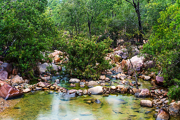 포토 JPG 해외이미지 나무 계절 공원 여행 백그라운드 잎 자연 열대 산 풍경 사람없음 야외 초록색 물 여름 강 반사 노란색 환경 침묵 젖음 가을 바위 연못 개울 황무지 호주 숲 열대우림 내추럴 해외포토 자연요소 식물 공공시설 컬러 소리 돌_바위 오세아니아 생태계 파일형식 이미지허브