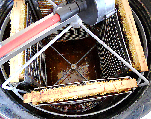 포토 JPG 해외이미지 음식 곤충 백그라운드 오렌지 건강 사람없음 야외 약 노란색 흐름 물방울 시골 신선 머리빗 액체 황금 달콤 맛 떨어짐 꿀벌 질감 날것 꽃가루 시럽 꿀 벌집 내추럴 밀랍 양봉 양봉장 어려움 왁스 해외포토 동물 컬러 컨셉 과일 의학 미용용품 벌_곤충 가루 파일형식 이미지허브