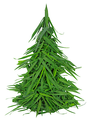 포토 JPG 해외이미지 나무 길 백그라운드 밭 건강 잔디 사람없음 초록색 농장 환경 정원 성장 흰색 신선 칼날 자르기 전나무 고립 해외포토 식물 컬러 농업 모션 파일형식 이미지허브