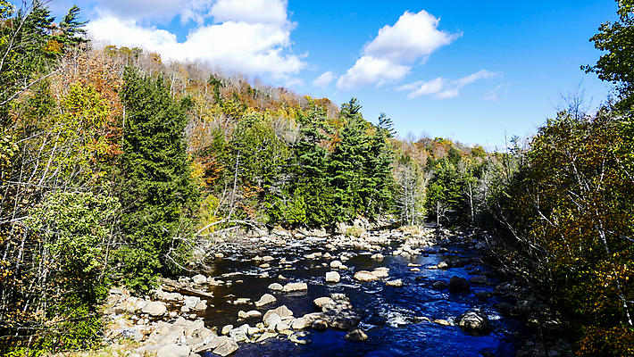포토 JPG 해외이미지 나무 여행 백그라운드 이동 잎 모션 자연 풍경 사람없음 야외 목재 초록색 물 파란색 강 뷰티 반사 평화 침묵 하이킹 흐름 가을 바위 신선 개울 고독 숲 암초 내추럴 화강암 해외포토 자연요소 식물 계절 감정 컬러 컨셉 재료 레저 소리 암석 돌_바위 생태계 파일형식 이미지허브