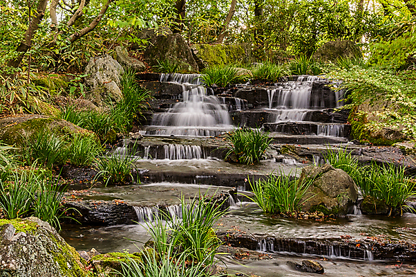 포토 JPG 해외이미지 나무 식물 계절 공원 아시아 여행 잎 자연 동양인 풍경 사람없음 야외 목재 초록색 물 노란색 정원 계곡 일본 폭포 가을 숲 내추럴 사무라이 해외포토 자연요소 공공시설 나라 컬러 재료 인종 생태계 파일형식 이미지허브