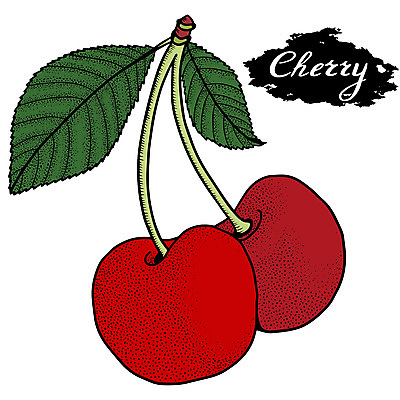 포토 JPG 해외이미지 식물 열매 선 음식 조각 백그라운드 잎 다이어트 과일 일러스트 자연 디저트 건강 미술 사람없음 그래픽 여름 세트 정원 수확 흰색 신선 체리 달콤 맛 낙서 심볼 오브젝트 그림 유기농 복고 윤곽 손그림 판화 내추럴 고립 숙성 엘리먼트 채식주의자 해외일러스트 웰빙 계절 컬러 컨셉 농업 문화예술 생태계 채식 파일형식 이미지허브