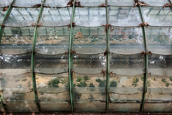 포토 JPG 해외이미지 나무 식물 전통 공원 꽃 호수 잎 건축양식 자연 손바닥 풍경 사람없음 야외 빨간색 초록색 물 정원 보라색 침묵 봄 이탈리아 가을 연못 도시 개화 로마 대나무 언덕 식물원 기념물 온실 해외포토 자연요소 손 계절 공공시설 건축 유럽 컬러 소리 생태계 파일형식 이미지허브