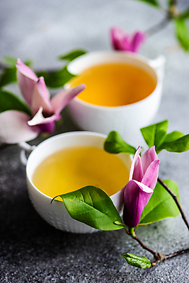 포토 JPG 해외이미지 잎 회색배경 사람없음 아웃포커스 찻잔 꽃가지 해외포토 식물 꽃 백그라운드 잔 촬영기법 회색 나뭇가지 파일형식 이미지허브