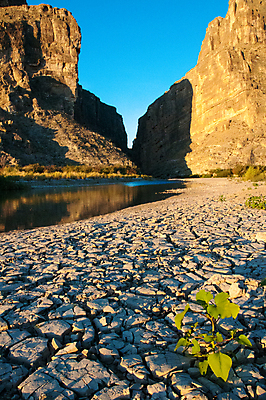 포토 JPG 해외이미지 공원 지구 여행 백그라운드 자연 하늘 표면 산 멕시코 건조 숙이기 풍경 사람없음 물 강 산타클로스 갈색 환경 골짜기 미국 흙 사막 뜨거움 균열 큼 땅 질감 먼지 점토 지역 진흙 가뭄 층 내추럴 땅바닥 전국 텍사스 해외포토 자연요소 공공시설 컬러 포즈 크리스마스 북아메리카 모션 날씨 바닥 크기 생태계 파일형식 이미지허브