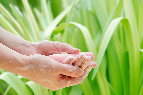 포토 JPG 해외이미지 손 신체 손가락 건강 손바닥 사람없음 물 청결 거품 젖음 욕실 흰색 위생 씻기 빨래 질병 피부 감염 미생물 비누 박테리아 돌봄 위생관리 전염병 살균 해외포토 자연요소 컬러 가사 의학 모션 생물 관리 신체부위 위생용품 파일형식 이미지허브