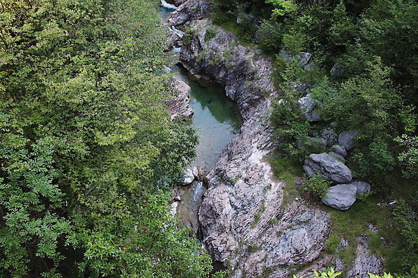 포토 JPG 해외이미지 식물 백그라운드 잎 자연 산 이끼 풍경 사람없음 초록색 물 강 환경 침묵 봄 폭포 바위 개울 황무지 티켓 수증기 숲 작음 운하 그리너리 해외포토 자연요소 계절 컬러 소리 돌_바위 크기 생태계 파일형식 트랜드컬러 이미지허브