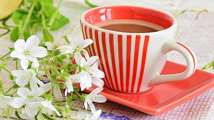 포토 JPG 해외이미지 꽃 커피 티타임 사람없음 달콤 커피잔 해외포토 식물 음료 휴식 잔 맛 파일형식 이미지허브