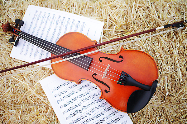 포토 JPG 해외이미지 주간 자연 사람없음 야외 볏짚 바이올린 악보 바이올리니스트 바이올린활 해외포토 자연요소 음악 현악기 연주자 짚 생태계 파일형식 이미지허브