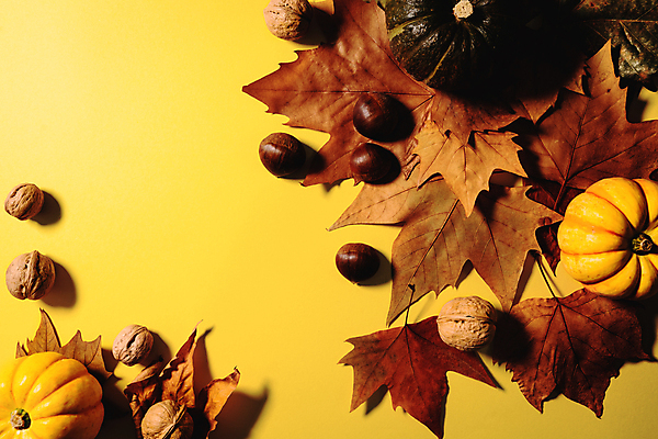 포토 JPG 해외이미지 전통 디자인 계절 행복 음식 백그라운드 잎 농업 채소 오렌지 텍스트 자연 탁자 호박 휴가 전등 사람없음 목재 장식 노란색 파티 축제 견과류 수확 가을 시골 축하 인사 신용카드 메시지 정상 11월 사인 주기 감사 위치 추수감사절 해외포토 나무 식물 감정 산업 기독교 컬러 가구 컨셉 과일 재료 모션 조명 이벤트 금융 예절 날짜 생태계 파일형식 이미지허브