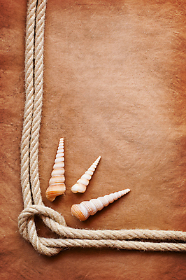 포토 JPG 해외이미지 종이 밧줄 백그라운드 조개 사람없음 갈색 엉킴 질감 카피스페이스 해외포토 줄 컬러 어패류 공백 파일형식 이미지허브