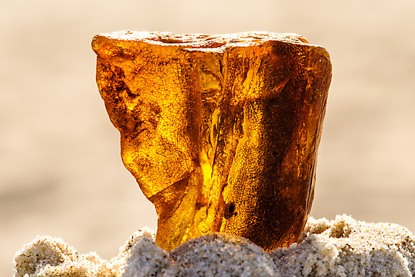 포토 JPG 해외이미지 자연 사람없음 빛 주황색 투명 보석 화석 앰버 해외포토 컬러 광석 생태계 파일형식 이미지허브