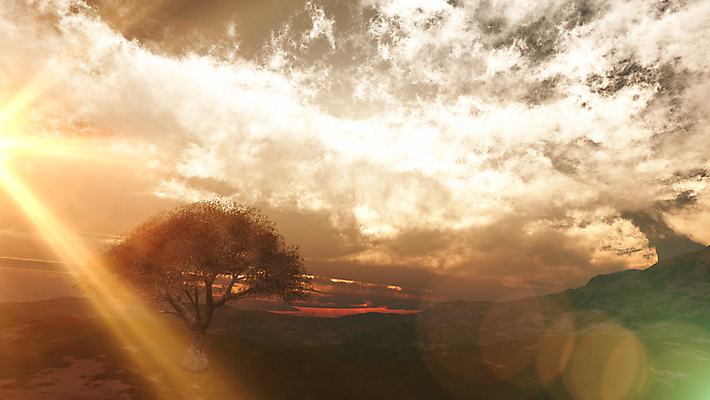 포토 JPG 해외이미지 나무 식물 계절 공원 실루엣 백그라운드 잎 밭 일러스트 자연 하늘 아침 그림자 풍경 사람없음 야외 초록색 여름 빛 햇빛 태양 뷰티 농장 노란색 3D 평화 일출 황혼 일몰 새벽 가을 시골 고독 저녁 땅 싱글 장면 내추럴 수평선 해외포토 주간 자연요소 공공시설 감정 컬러 컨셉 농업 촬영기법 노을 야간 디지털합성 생태계 파일형식 이미지허브