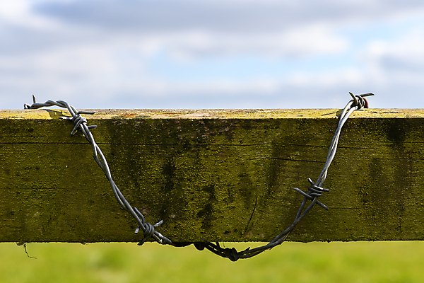 포토 JPG 해외이미지 농업 추상 잉글랜드 사람없음 야외 울타리 농장 금속 사진촬영 시골 보호 위험 철사 철조망 밭일 카피스페이스 해외포토 산업 컨셉 무늬 재질 영국 담장 촬영 공백 파일형식 이미지허브