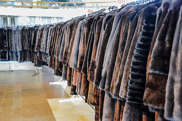 포토 JPG 해외이미지 동물 라이프스타일 디자인 옷 계절 여자 야생동물 겨울 패턴 털 따뜻함 정장 사람없음 뷰티 갈색 유행 환경 상점 재킷 회색 코트 수확 그룹 변화 시장 재산 고급 우아함 옷걸이 수집 피부 오브젝트 여우 옛날 줄서기 스타일 해외포토 컬러 컨셉 무늬 농업 포유류 모션 사람 생활 신체부위 금융 외투 파일형식 이미지허브