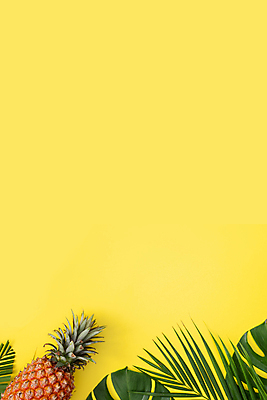 포토 JPG 해외이미지 실내 사람없음 하이앵글 파인애플 열대과일 노란배경 몬스테라 열대잎 카피스페이스 제철과일 해외포토 식물 뷰포인트 백그라운드 잎 과일 내부 노란색 공백 제철 파일형식 이미지허브
