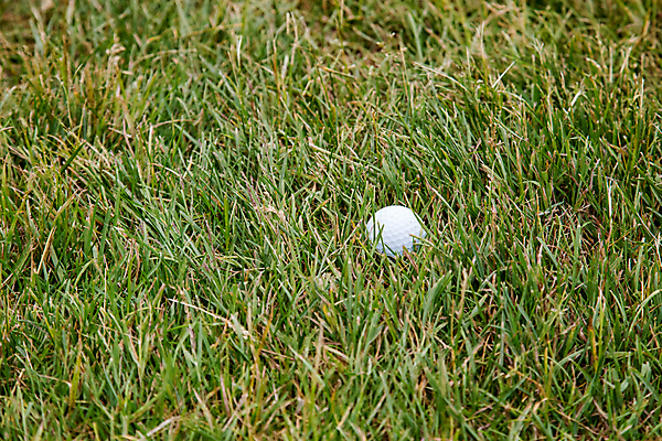 포토 JPG 해외이미지 스포츠 밭 골프 공 놀이 하늘 골프공 잔디 취미 사람없음 야외 가로 초록색 여름 컬러풀 한개 운동 경쟁 장비 게임 흰색 구멍 거친 골퍼 강의 자르기 오브젝트 내추럴 카피스페이스 해외포토 식물 1 계절 컬러 컨셉 농업 모션 운동선수 골프용품 건강 구기 공백 파일형식 이미지허브