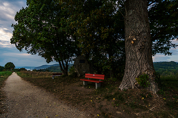포토 JPG 해외이미지 응시 섬 잎 벤치 자국 휴가 휴식 사람없음 목재 태양 환경 골짜기 일몰 트래킹 산책로 하이킹 가을 시골 도시 소나무 보트 소 편안함 회복 해외포토 자연요소 나무 식물 시선 계절 길 컨셉 배_교통 의자 재료 포유류 자연 레저 노을 감각 파일형식 이미지허브