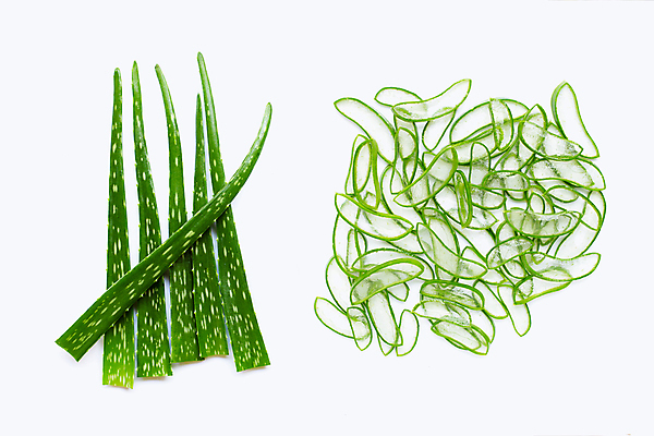 포토 JPG 해외이미지 스튜디오촬영 단면 실내 사람없음 하이앵글 뷰티 흰배경 알로에 해외포토 식물 뷰포인트 백그라운드 내부 흰색 파일형식 이미지허브