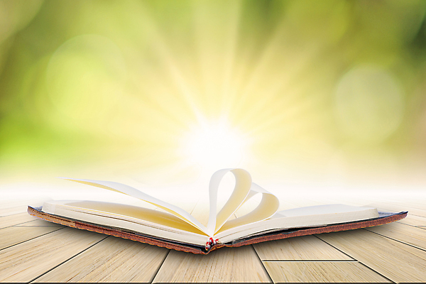 포토 JPG 해외이미지 교육 종이 문화 백그라운드 비즈니스 텍스트 저울 미술 사람없음 야외 목재 책 초록색 정원 듣기 정보 덮개 오픈 도서관 망치 읽기 문서 법 문학 페이지 판결 내추럴 고립 법정 정부 해외포토 나무 컬러 재료 모션 문화예술 뚜껑 공구 파일형식 이미지허브