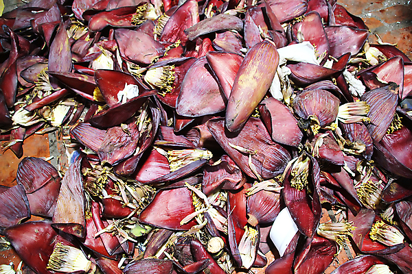 포토 JPG 해외이미지 나무 식물 꽃잎 꽃 음식 줄기 잎 꽃무늬 농업 다이어트 채소 과일 태국 자연 건조 바나나 건강 사람없음 야외 빨간색 뷰티 농장 정원 보라색 수확 성장 벚꽃 나뭇가지 신선 거친 다발 허브 유기농 날것 숨기 채식주의자 해외포토 웰빙 산업 아시아 컬러 무늬 모션 생태계 채식 파일형식 이미지허브