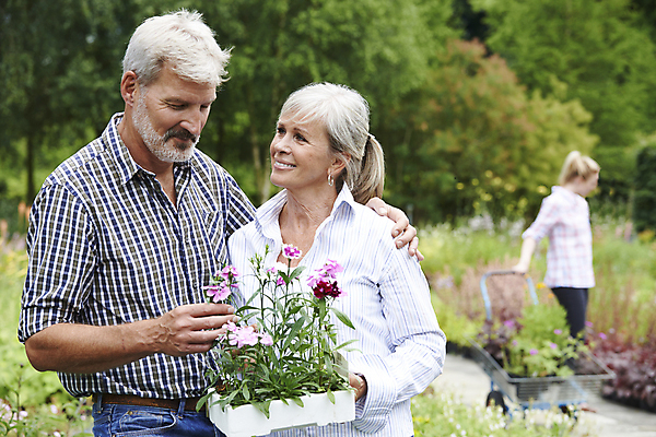 포토 JPG 해외이미지 전신 식물 백인 커플 여자 남자 꽃 행복 중년 50대 비즈니스 자연 수염 함께함 미소 사람 취미 야외 가로 세명 여름 쇼핑 정원 선택 구매 60대 고객 원예 소매 중소기업 해외포토 서양인 계절 노년 감정 컨셉 회사 관계 표정 성인 생태계 파일형식 이미지허브