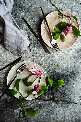 포토 JPG 해외이미지 나무 식물 식기 접시 계절 꽃잎 꽃 분홍색 꽃다발 백그라운드 컨셉 꽃무늬 탁자 프레임 사람없음 내부 세트 봄 회색 벚꽃 나뭇가지 시골 인사 신용카드 개화 은색 목련 설정 콘크리트 카피스페이스 해외포토 컬러 가구 무늬 금융 공백 예절 파일형식 이미지허브