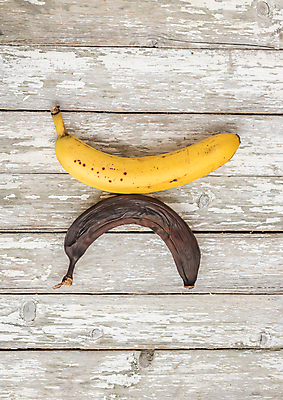 포토 JPG 해외이미지 음식 다이어트 과일 바나나 건강 사람없음 목재 노란색 껍질 흰색 신선 달콤 다발 먹기 피부 오브젝트 에코 유기농 고립 바이오 숙성 채식주의자 못생김 해외포토 나무 웰빙 컬러 재료 모션 신체부위 환경 맛 채식 파일형식 이미지허브