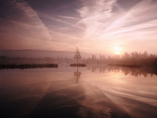 포토 JPG 해외이미지 구름 계절 야생동물 사람없음 초록색 물 여름 햇빛 뷰티 반사 환경 어둠 침묵 봄 거울 안개 황무지 떨어짐 습지 숲 허브 지역 무거움 서식지 자작나무 변소 해외포토 자연요소 나무 식물 동물 컬러 컨셉 날씨 태양 소리 무게 파일형식 이미지허브