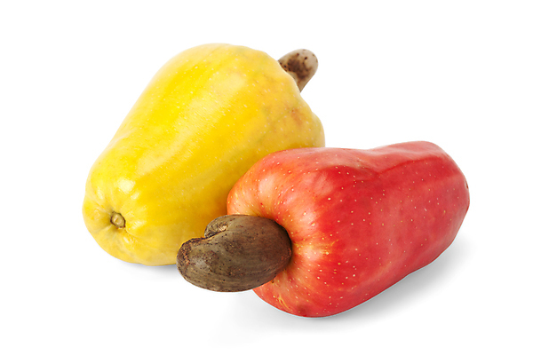 포토 JPG 해외이미지 음식 잎 농업 채소 과일 자연 건강 요리 씨앗 사람없음 야외 빨간색 세로 약 농장 노란색 쌓기 사진촬영 미국 견과류 수확 신선 그룹 시장 사과 농부 다발 브라질 남쪽 내추럴 밭일 숙성 캐슈넛 브라질사람 해외포토 식물 직업 산업 컬러 북아메리카 의학 모션 촬영 남아메리카 방향 생태계 파일형식 이미지허브