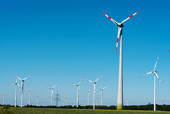 포토 JPG 해외이미지 식물 산업 밭 농업 날개 자연 하늘 바람 독일 풍경 사람없음 초록색 파란색 농장 환경 힘 재활용 풍차 발전기 발전소 에너지 칼날 풍력에너지 프로펠러 엔진 자원 세대 유지 혁명 개발 생태학 해외포토 자연요소 교육 유럽 컬러 컨셉 날씨 그린에너지 친환경 생태계 파일형식 이미지허브