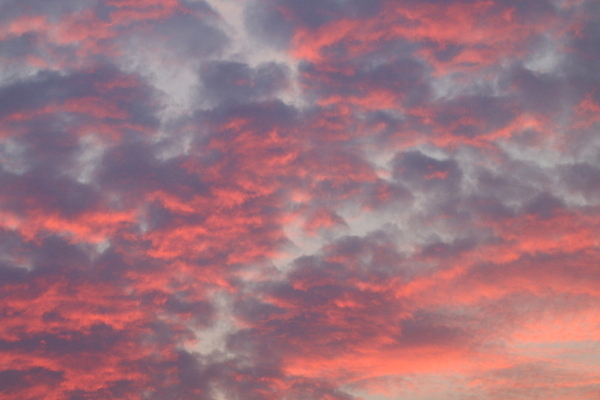 포토 JPG 해외이미지 구름 디자인 계절 실루엣 여행 백그라운드 겨울 오렌지 자연 하늘 불 날씨 추상 새로움 미술 풍경 사람없음 야외 빨간색 여름 빛 컬러풀 태양 뷰티 노란색 일출 환경 검은색 어둠 일몰 도시 야간 저녁 질감 매움 폭풍 맨해튼 수평선 해외포토 자연요소 컬러 컨셉 무늬 과일 문화예술 촬영기법 노을 맛 생태계 뉴욕 파일형식 이미지허브