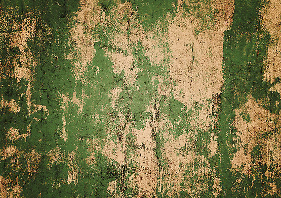 포토 JPG 해외이미지 디자인 외관 벽 백그라운드 패턴 건축양식 벽지 표면 날씨 추상 바닥 프레임 사람없음 내부 건물 검은색 어둠 공백 수확 골동품 바위 도시 얼룩 거친 균열 묘사 부식 질감 복고 시멘트 먼지 그런지 석고 옛날 콘크리트 해외포토 건축물 건축 컬러 무늬 농업 모션 돌_바위 파일형식 이미지허브