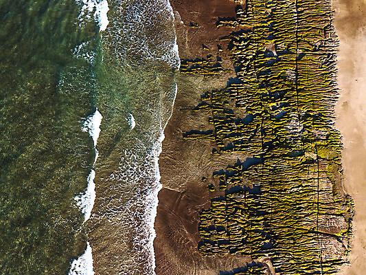 포토 JPG 해외이미지 파도 바다 여행 백그라운드 패턴 조류 하늘 사람없음 물 여름 빛 태양 맑음 바위 해조류 자르기 대만 화산 암초 지질학 특별함 해외포토 자연요소 동물 계절 교육 아시아 컨셉 무늬 모션 날씨 산 돌_바위 해양식물 파일형식 이미지허브