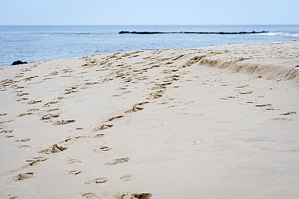 포토 JPG 해외이미지 구름 모래 파도 바다 섬 백그라운드 컨셉 맨발 자연 날씨 추상 휴가 휴식 풍경 해변 사람없음 야외 물 여름 파란색 모래사장 태양 침묵 산책 자유 만 뜨거움 발자국 모래언덕 휴양지 질감 장면 단계 양발 혼자 수평선 해외포토 자연요소 계절 컬러 무늬 자국 발 소리 장소 언덕 생태계 파일형식 이미지허브