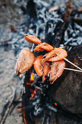 포토 JPG 해외이미지 새우 사람없음 야외 아웃포커스 캠핑 야간 모닥불 굽기 꼬치구이 숯 해외포토 자연요소 불 레저 촬영기법 갑각류 꼬치 구이 파일형식 이미지허브
