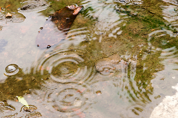 포토 JPG 해외이미지 디자인 계절 호수 백그라운드 패턴 일러스트 자연 하늘 날씨 추상 사람없음 가로 물 빛 컬러풀 반사 환경 거품 젖음 물방울 연못 신선 원형 투명 액체 수면 떨어짐 매끈함 이슬 빗방울 웅덩이 분무기 땅바닥 잔물결 해외포토 자연요소 도형 물결 컬러 컨셉 무늬 바닥 감각 비_날씨 생태계 파일형식 이미지허브