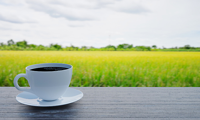 포토 JPG 해외이미지 라이프스타일 접시 커피 음료 음식 백그라운드 밭 자연 유리 탁자 하늘 밥 아침 풍경 사람없음 야외 목재 컵 초록색 여름 농장 농경지 갈색 3D 상점 검은색 카페 머그컵 수확 흰색 시골 신선 뜨거움 차 아침식사 언덕 상쾌 유기농 아로마 카푸치노 에스프레소 내추럴 모카 카페인 해외포토 주간 나무 식기 웰빙 계절 감정 컬러 가구 농업 재료 재질 생활 식사 디지털합성 생태계 파일형식 이미지허브