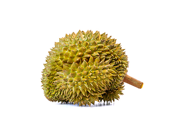 포토 JPG 해외이미지 나무 식물 계절 아시아 음식 다이어트 채소 과일 부분 태국 자연 디저트 건강 육류 동양인 사람없음 초록색 갈색 노란색 흰색 신선 가시 시장 달콤 맛 자르기 먹기 파인애플 유기농 날것 냄새 날카로움 내추럴 고립 숙성 이국적 해외포토 웰빙 나라 컬러 컨셉 식재료 모션 인종 열대과일 생태계 파일형식 이미지허브