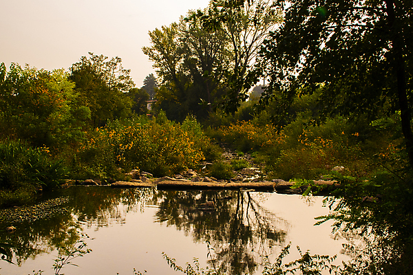 포토 JPG 해외이미지 나무 길 지구 호수 잎 농업 곡선 모션 표면 풍경 사람없음 목재 초록색 물 파란색 컬러풀 환경 계곡 침묵 이탈리아 거울 하이킹 젖음 가을 흰색 시골 신선 개울 가장자리 떨어짐 매끈함 작음 큼 언덕 생태계 벌거벗은 생태학 석회암 해외포토 자연요소 식물 계절 교육 유럽 산업 선 컬러 컨셉 재료 레저 강 소리 암석 감각 둘레 크기 파일형식 이미지허브