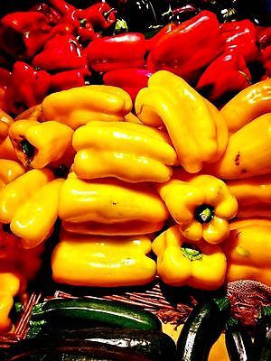 포토 JPG 해외이미지 식물 음식 채소 오렌지 재료 고추 피망 파프리카 건강 사람없음 빨간색 초록색 컬러풀 노란색 쌓기 주방 식당 정원 저녁식사 봄 활발 샐러드 추위 신선 뜨거움 사발 맛 자르기 다발 메뉴 매움 날것 후추 성분 건강식 숙성 정물화 채식주의자 해외포토 계절 컬러 컨셉 과일 모션 상점 식사 사기그릇 향신료 그림 채식 파일형식 이미지허브